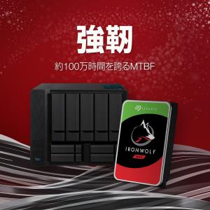 正規代理店品 Seagate シーゲイト Ir...の詳細画像5