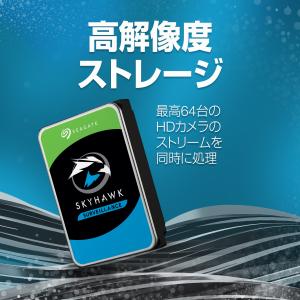 Seagate シーゲイト Skyhawk 3...の詳細画像2