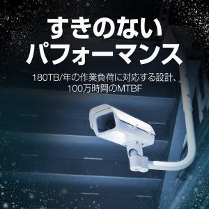 Seagate シーゲイト Skyhawk 3...の詳細画像3