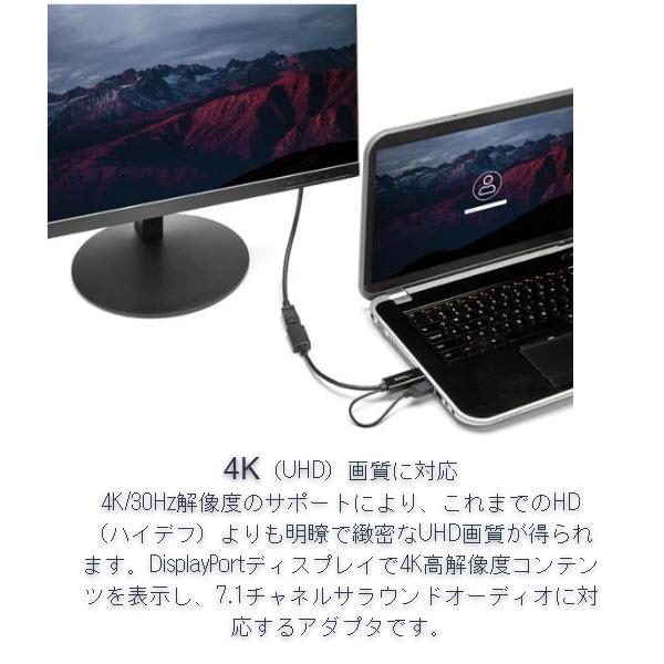 StarTech.com HDMI - DisplayPort変換アダプタ USBバスパワー対応 4...