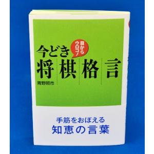 目からウロコ！今どき将棋格言【ゆうメール・ゆうパケット可能】