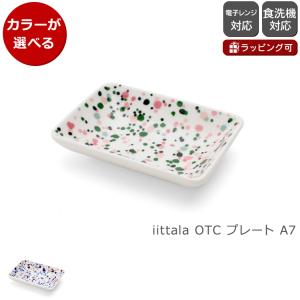 iittala イッタラ A4 plate 209×293mm オイバ・トイッカコレクション