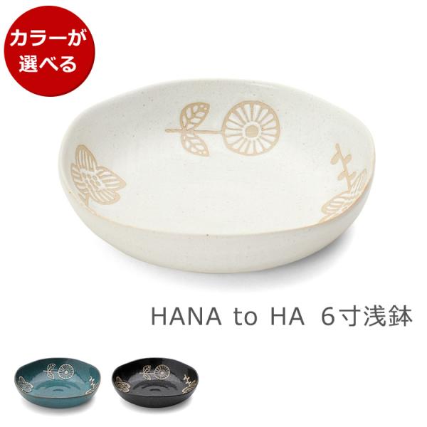 KANESAN1893 ハナトハ HANA to HA 6寸浅鉢 ギフト 結婚祝い プレゼント 贈り...