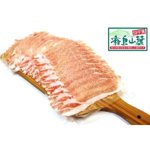 霧島山麓豚 ロース 100g　SPFポーク 業務用 冷蔵品 (しゃぶしゃぶ用) 鹿児島県産 宮崎県産