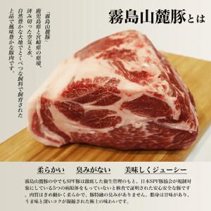 霧島山麓豚 ロース 100g SPFポーク 業...の詳細画像2