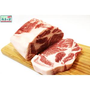 霧島山麓豚 肩ロース 100g　SPFポーク 業務用 冷蔵品 (ブロック) 鹿児島県産 宮崎県産
