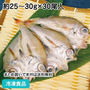 冷凍食品 業務用 のどぐろ開干(S) 約25-30g×30尾入 11162 ノドグロ 干物 焼魚 のどぐろ 干物｜syokusai-netcom