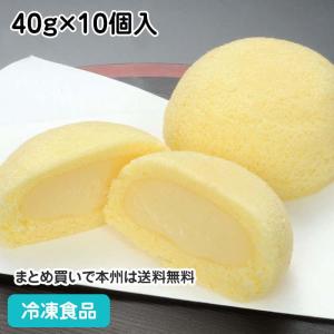 ドームケーキ(カスタード) 40g×10個入 12218 デザート スイーツ ドリンク ケーキ｜syokusai-netcom