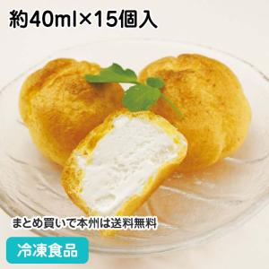 冷凍食品 業務用 シューアイス バニラ 約40ml×15個入 12593 個包装 洋菓子 スイーツ デザート 給食 おやつ