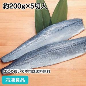 冷凍食品 業務用 サゴシフィーレ 約200g×5切入 144015 焼物 フライ 魚魚介 シーフード｜syokusai-netcom