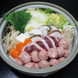 冷凍食品 業務用 合鴨 鍋 セット 5人前 575g 販売期間10月-2月 17139 かも あいがも つゆ 団子 鍋食材 肉 野菜