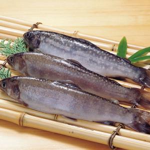 冷凍食品 業務用 冷凍 岩魚 1kg 10尾入 いわな イワナ 塩焼き 甘露煮 イワナ 岩魚 塩焼き 食彩ネットクール便 通販 Yahoo ショッピング