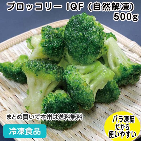 冷凍食品 業務用 冷凍食品 業務用 ブロッコリー IQF (自然解凍) 500g 20825 簡単 ...