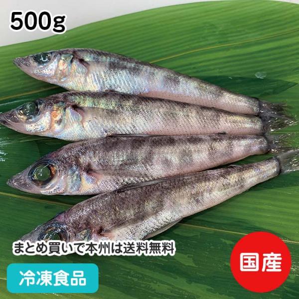 冷凍食品 業務用 メヒカリ (加熱用) 500g 21979 三重 尾鷲 処理済 天麩羅 唐揚 南蛮...