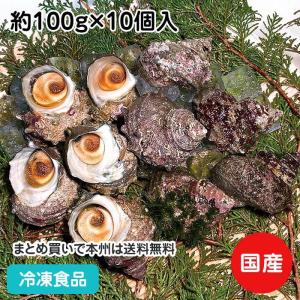 冷凍食品 業務用 サザエ 約100g×10個入 23054 栄螺 拳螺 BBQ 定番 殻ごと つぼ焼｜syokusai-netcom