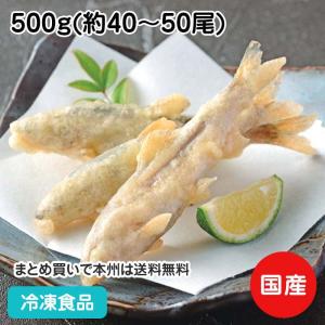 冷凍食品 業務用 稚鮎打ち粉付き 500g(約40-50尾) 23540 販売期間4月末-8月｜syokusai-netcom