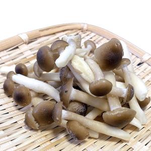 冷凍食品 業務用 国産 長野県産 冷凍ぶなしめ...の詳細画像2