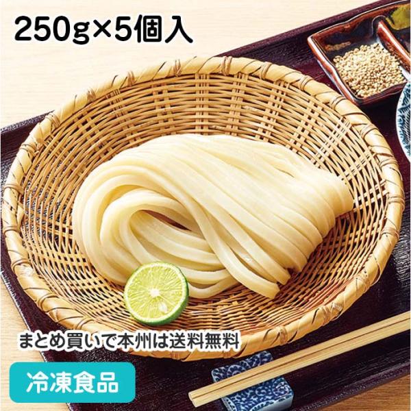 （クーポン利用で5％OFF）丹念仕込み 本場讃岐うどん 250g×5個入 600547 めん ランチ...