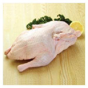 あい鴨 グリラー 1羽(約1.6kg)  609198→★商品番号23763に変更