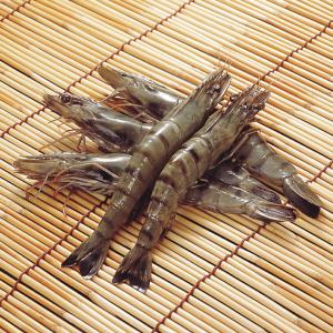 冷凍食品 業務用 ブラックタイガー 有頭 40...の詳細画像1