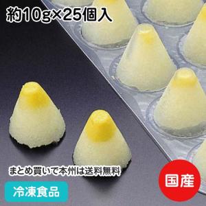冷凍食品 業務用 富士おろし 約10g×25個入 90149 簡単 時短