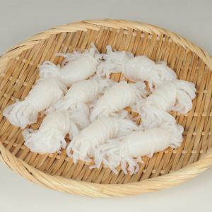 結び白滝1kg（20g×50個入） 27916 和食 食材 一口サイズ 蒟蒻 鍋具材 鍋食材 おでんの具 糸こん｜食彩ネットドライ便