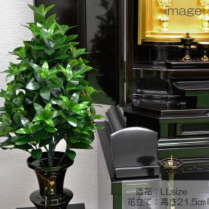 おしきみの商品一覧 通販 Yahoo ショッピング