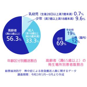 大塚製薬 オーエスワン アップル風味 500m...の詳細画像2