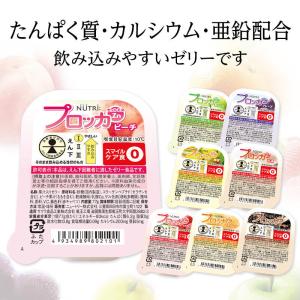 ニュートリー プロッカZn 6種詰め合わせ 7...の詳細画像3