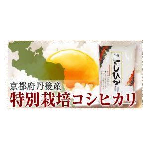 新米令和5年度産　　特A受賞　 京都府丹後産特別栽培コシヒカリ【白米10kg】５キロｘ2