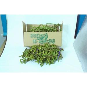 令和6年度産早くもご承ります！京都丹波黒大豆枝豆1キロ入り毎年楽しみ！