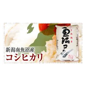 令和7年度産!ギフトに!!プレミアム極上の旨み...の詳細画像5