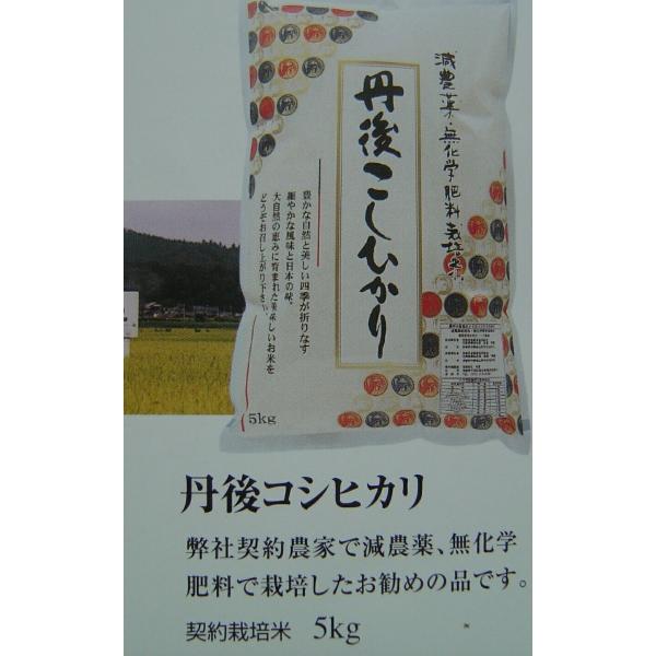 令和5年度産　京都丹後産　無洗米エコ生活はじめよう簡単便利！コシヒカリ１０キロ