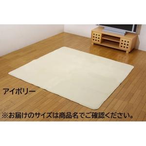 ds-撥水 ラグマット/絨毯 〔アイボリー 約1...の商品画像