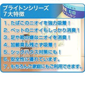 エアブライトン ホテル客室業務用消臭ゲル200...の詳細画像2