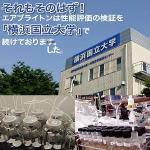 エアブライトン ホテル客室業務用消臭ゲル200...の詳細画像4