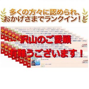 エアブライトン ホテル客室業務用消臭ゲル200...の詳細画像5