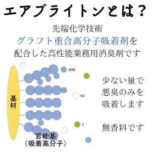 お試し携帯用 エアブライトン 50mlスプレー...の詳細画像5