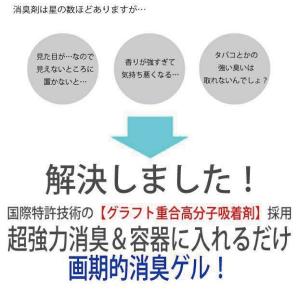 【送料無料】消臭ビーズでは物足りない方に|強力...の詳細画像2