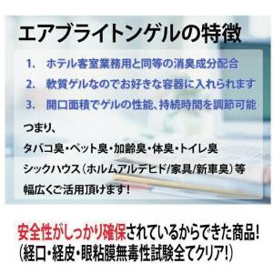 【送料無料】消臭ビーズでは物足りない方に|強力...の詳細画像3