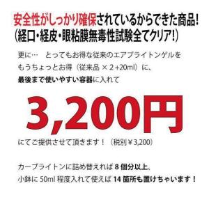 【送料無料】消臭ビーズでは物足りない方に|強力...の詳細画像4