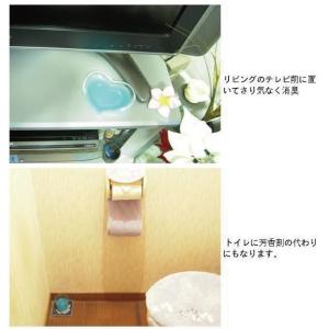 【送料無料】消臭ビーズでは物足りない方に|強力...の詳細画像5