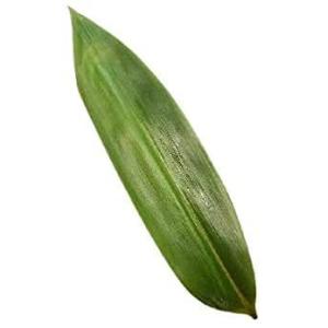 料理 飾り 葉の商品一覧 通販 Yahoo ショッピング