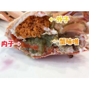 セコガニ セイコガニ 香箱ガニ 訳あり 生 姿...の詳細画像1