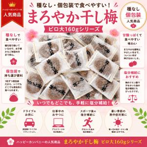 まろやか干し梅 ピロ大 160g 2袋セット ...の詳細画像1