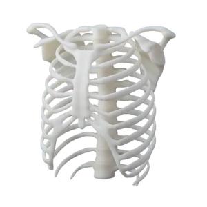 光造形レジン Formlabs White R...の詳細画像1