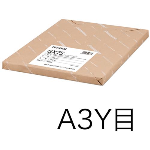 富士フイルムビジネスイノベーション　ＧＸ７５（カット）　Ａ３Ｙ目　１冊（２５０枚）　Ｐ７８８