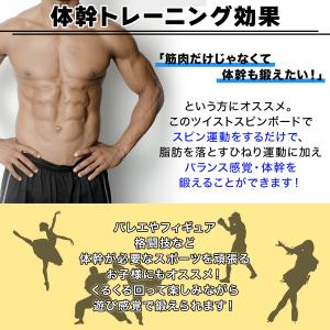 ツイスト スピンボード スピントレーナー 回転...の詳細画像2