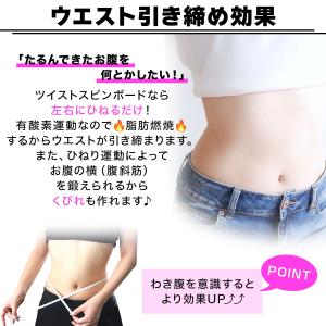 ツイスト スピンボード スピントレーナー 回転...の詳細画像3