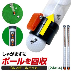 ゴルフボールピッカー ゴルフ 球拾い ピッカー レトリバー チューブ ゴルフ練習用品 ゴルフボール 回収 収集 練習 ホルダー 2本セット｜systemstyle